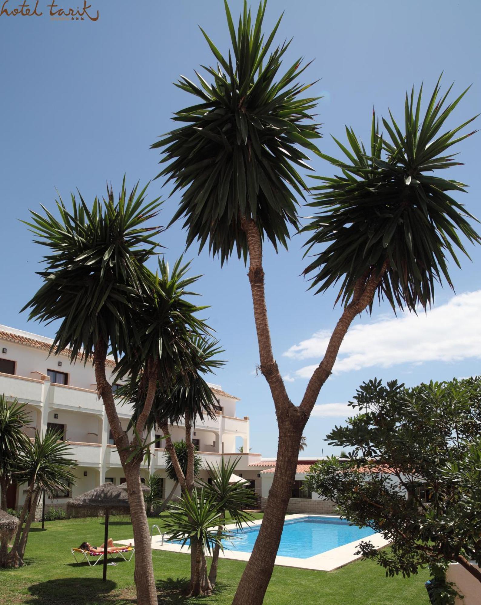 Hotel Tarik Torremolinos Ngoại thất bức ảnh